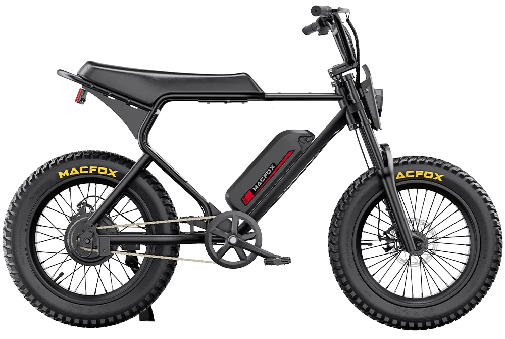 Ewheelers X1S Electric Bike – 500W Urban Powerhouse for Wheelie Lovers