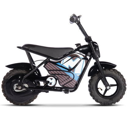 Ewheelers 24V 250W Electric Mini Pit Bike