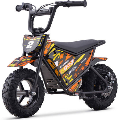Ewheelers 24V 250W Electric Mini Bike