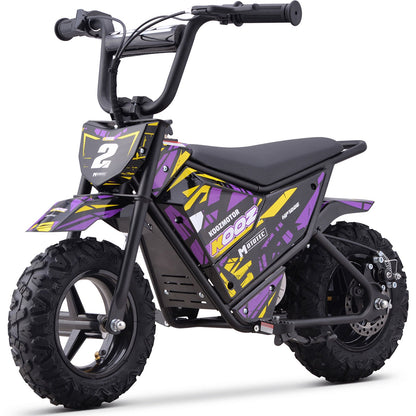Ewheelers 24V 250W Electric Mini Bike