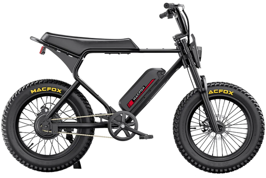 Ewheelers X1S Electric Bike – 500W Urban Powerhouse for Wheelie Lovers
