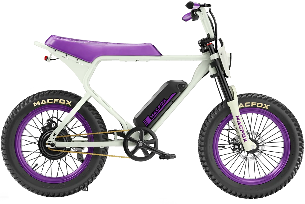 Ewheelers X1S Special Edition Electric Bike
