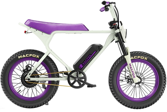 Ewheelers X1S Special Edition Electric Bike