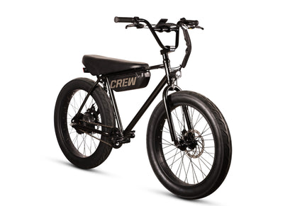 Ewheelers Dart V2.1 Electric Bike