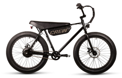 Ewheelers Dart V2.1 Electric Bike